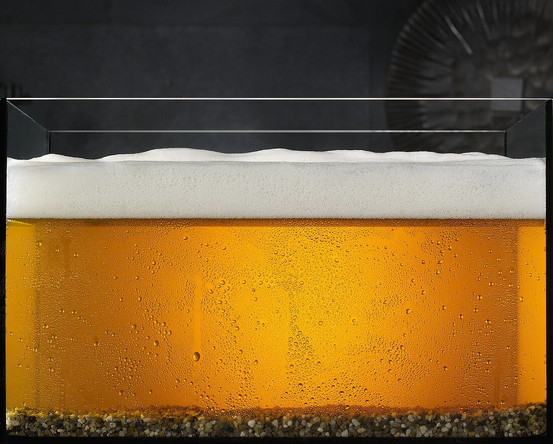 Beer (detail)