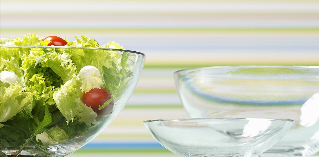 Salad leaves with tomatoes and mozzarella in salad bowl