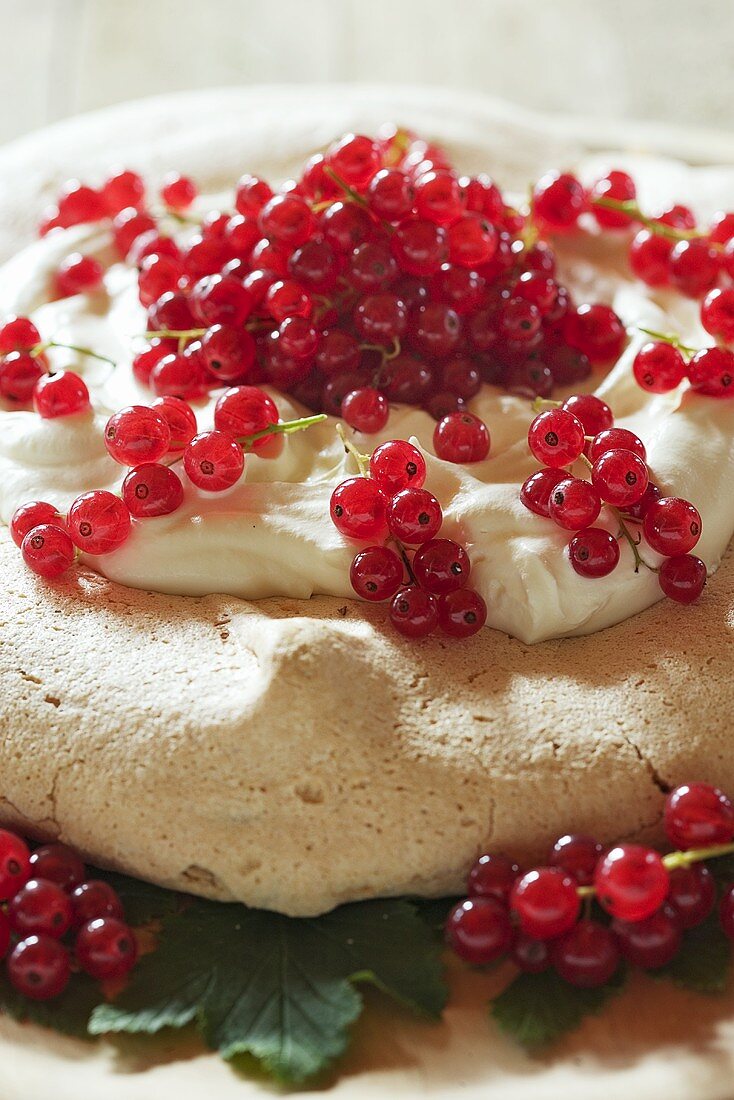 Pavlova mit roten Johannisbeeren