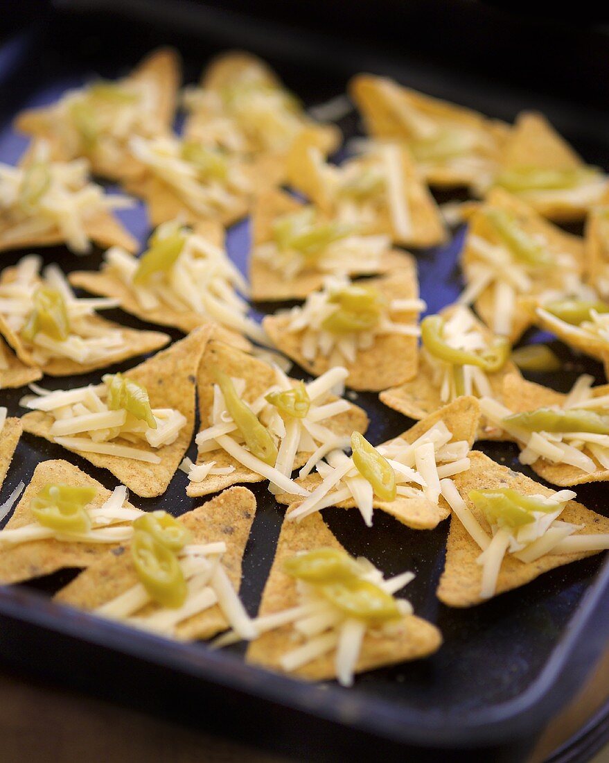 Nachos with cheese