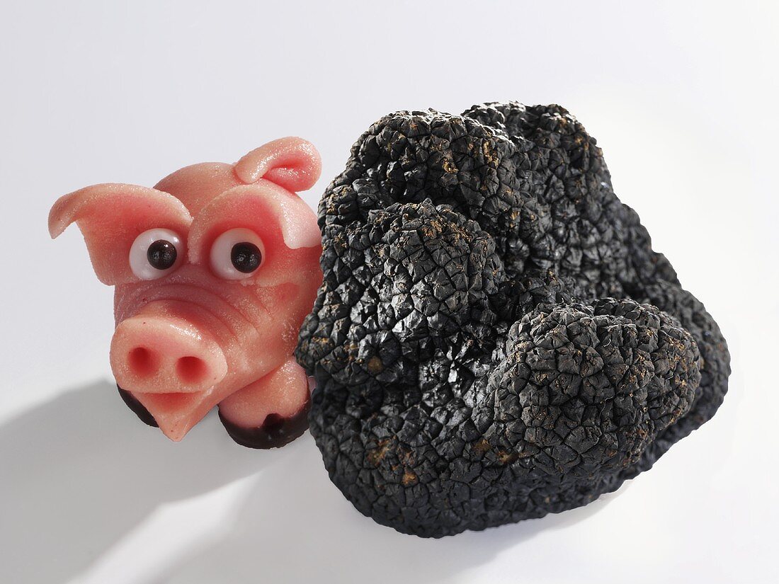 Marzipan pig and black truffle (Truffle pig)