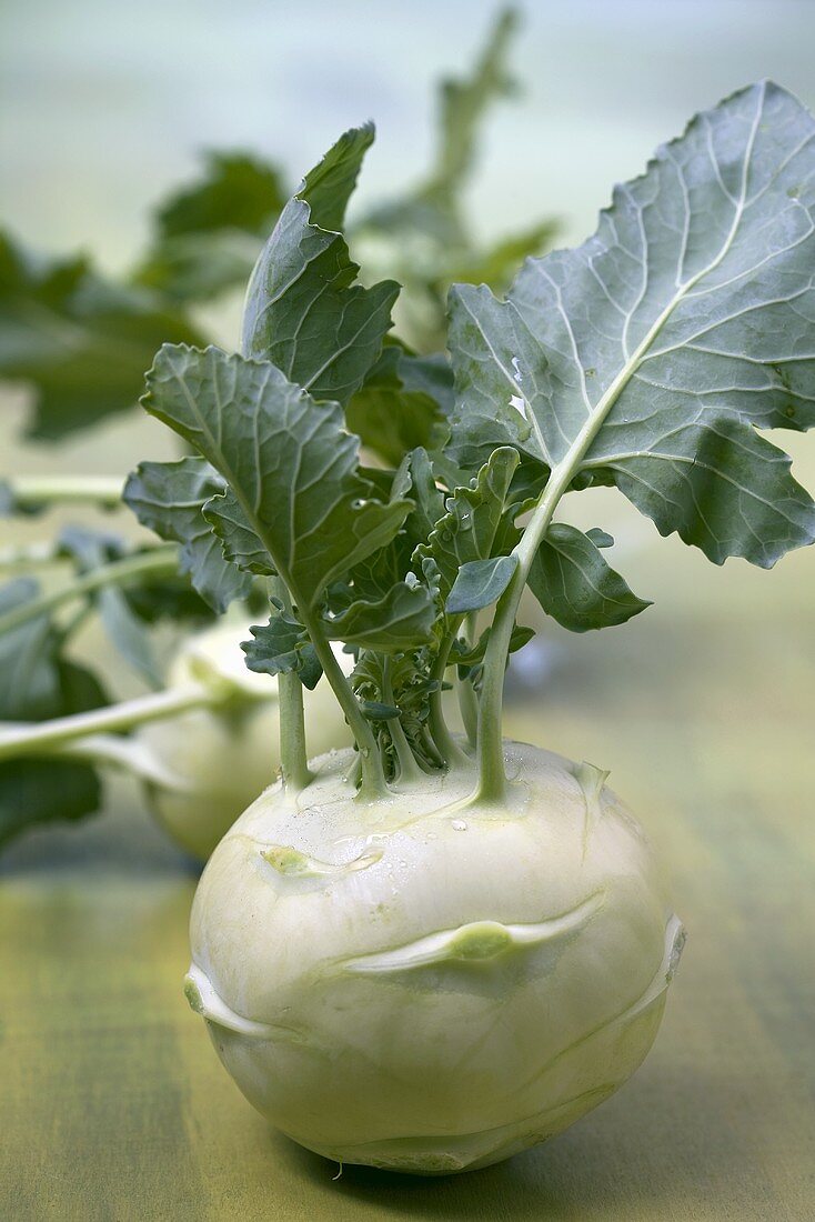 Kohlrabi