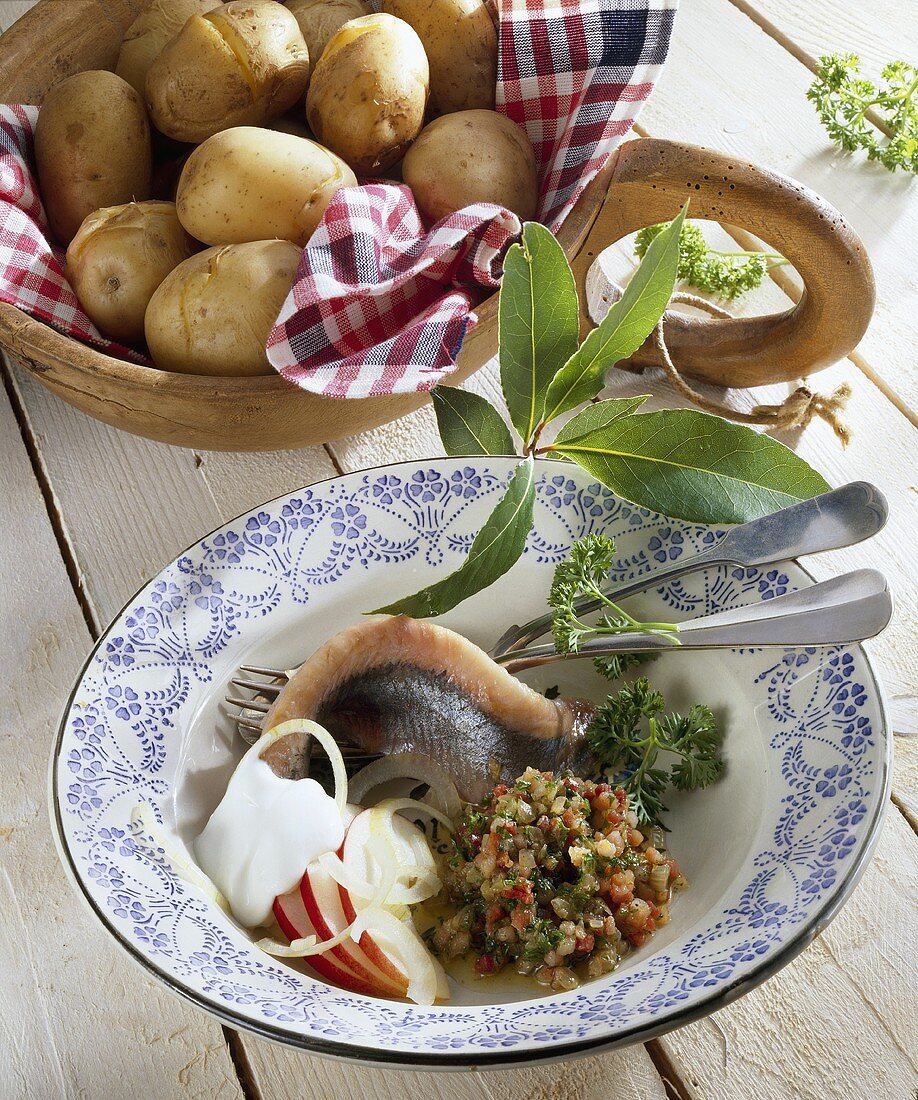 Boiled potatoes with matjes herring & Speckstippe (bacon sauce)