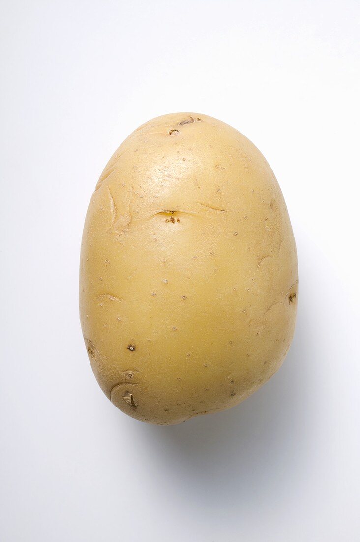 Secura, a waxy potato