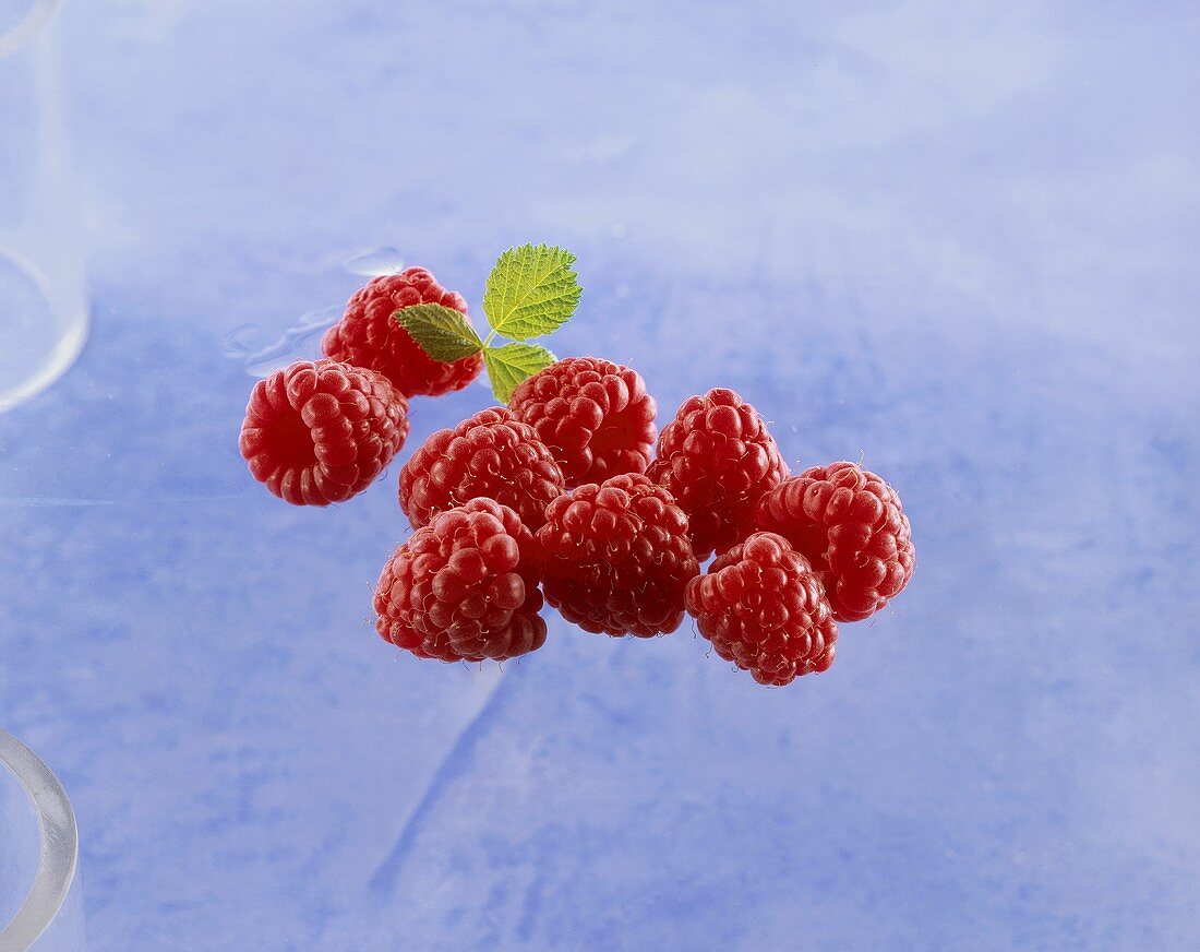 Fresh raspberries