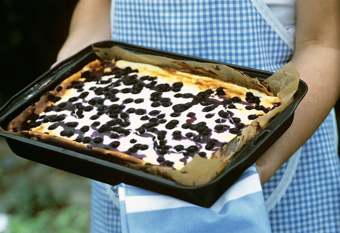 Hands holding blueberry cake on baking tray