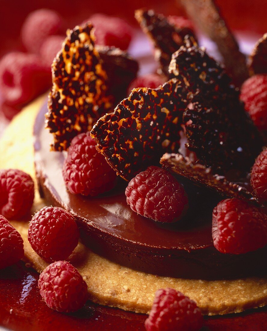 Chocolate cake with raspberries and brittle