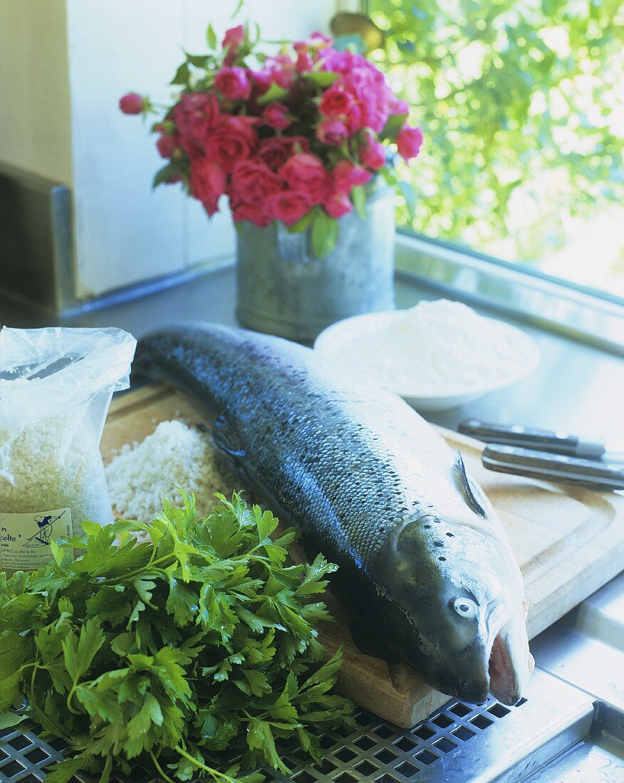 Salmon, parsley and sea salt