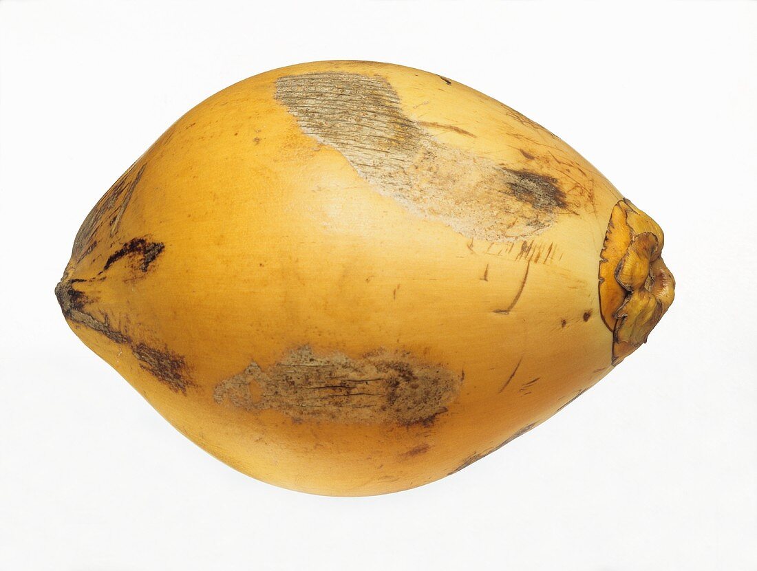 Eine King-Kokosnuss