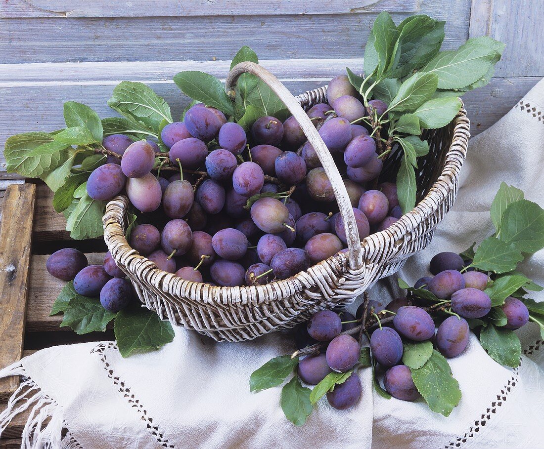 Plums with leaves in a basket