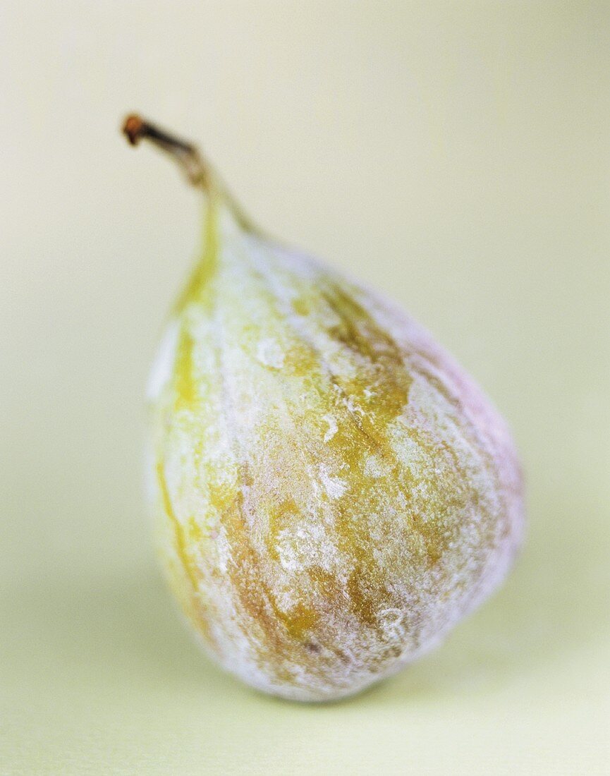 Fresh fig