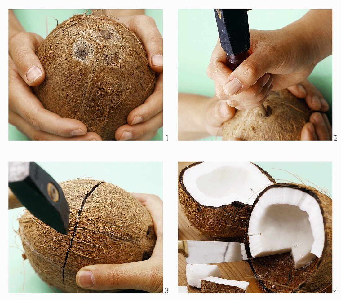 Kokosnuss knacken