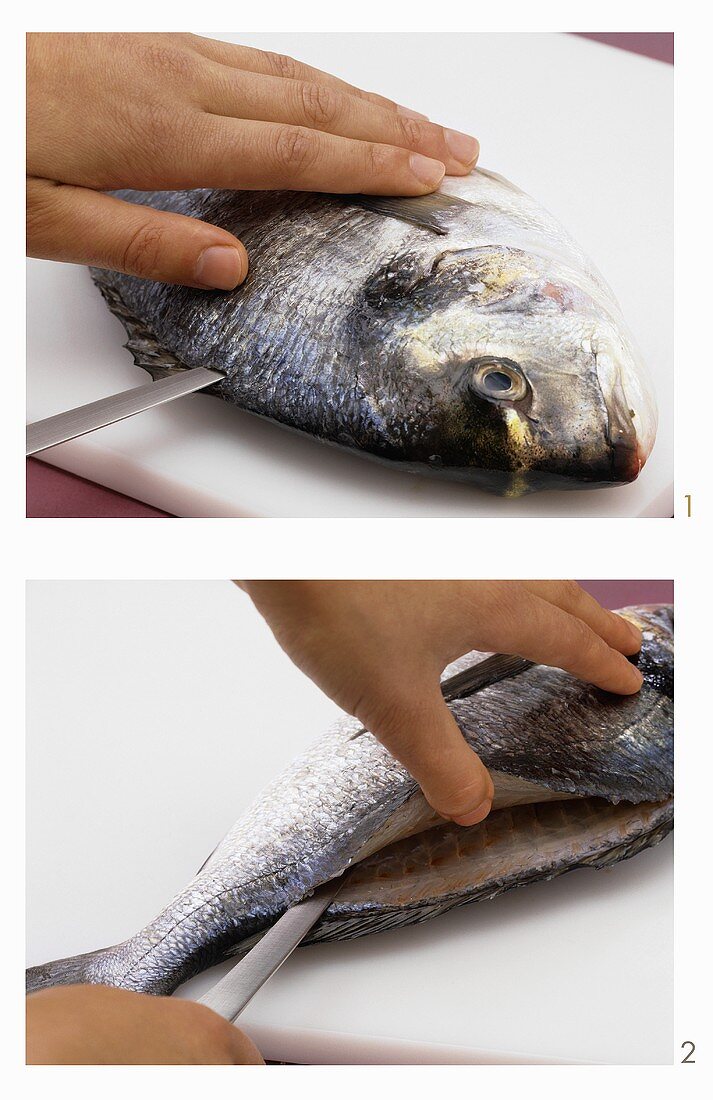 Cutting into a fish