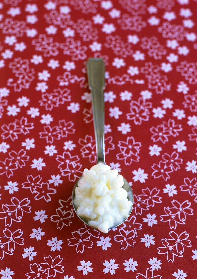 Rice pudding on spoon