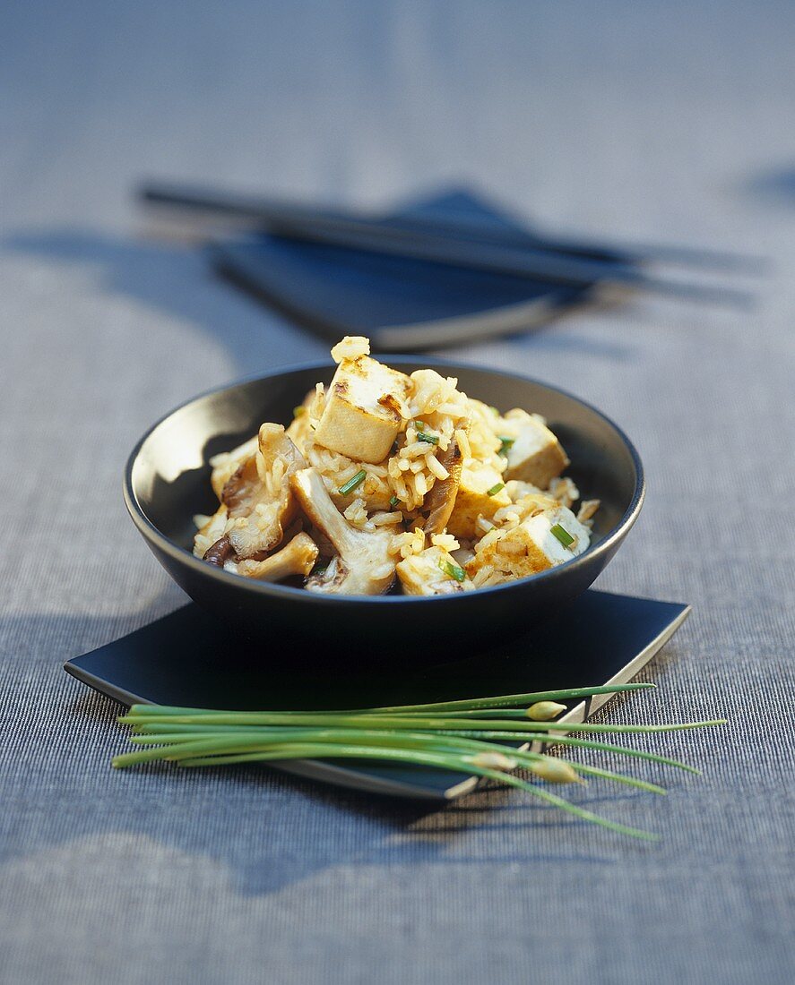 Gebratener Tofu mit Reis und Pilzen