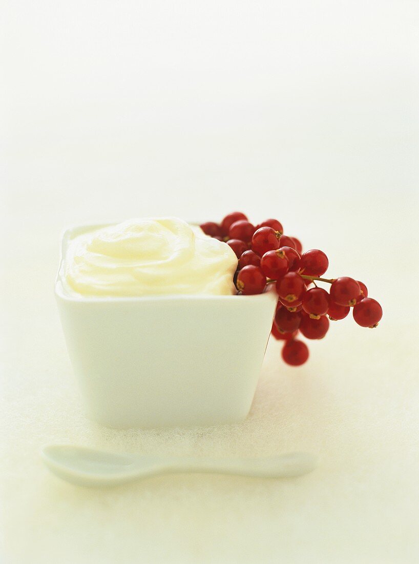 Creme Chantilly (französische Sahnecreme) mit Johannisbeeren