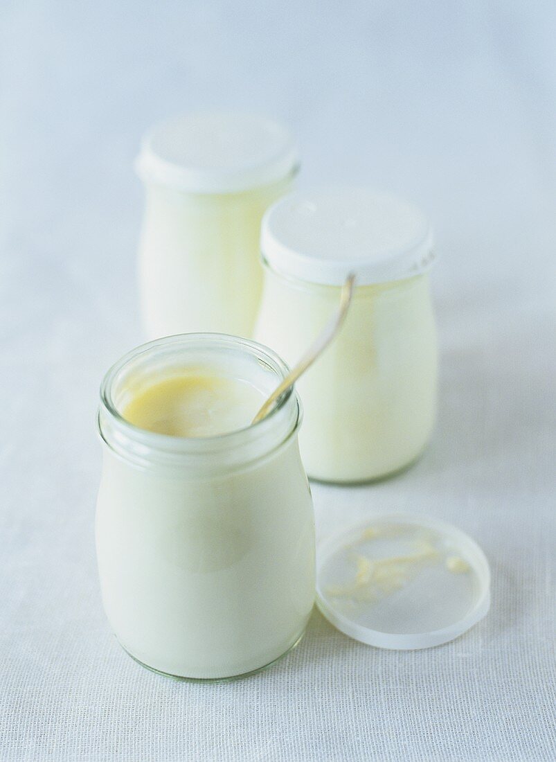 Home-made yoghurt