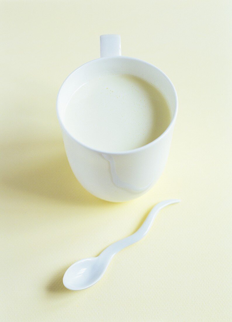 A cup of warm milk