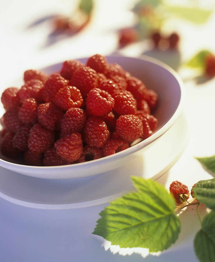 Fresh raspberries in a dish