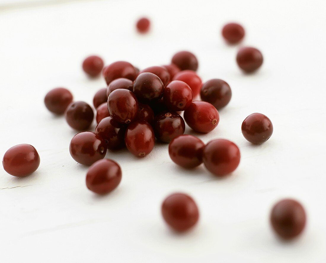 Frische Cranberries