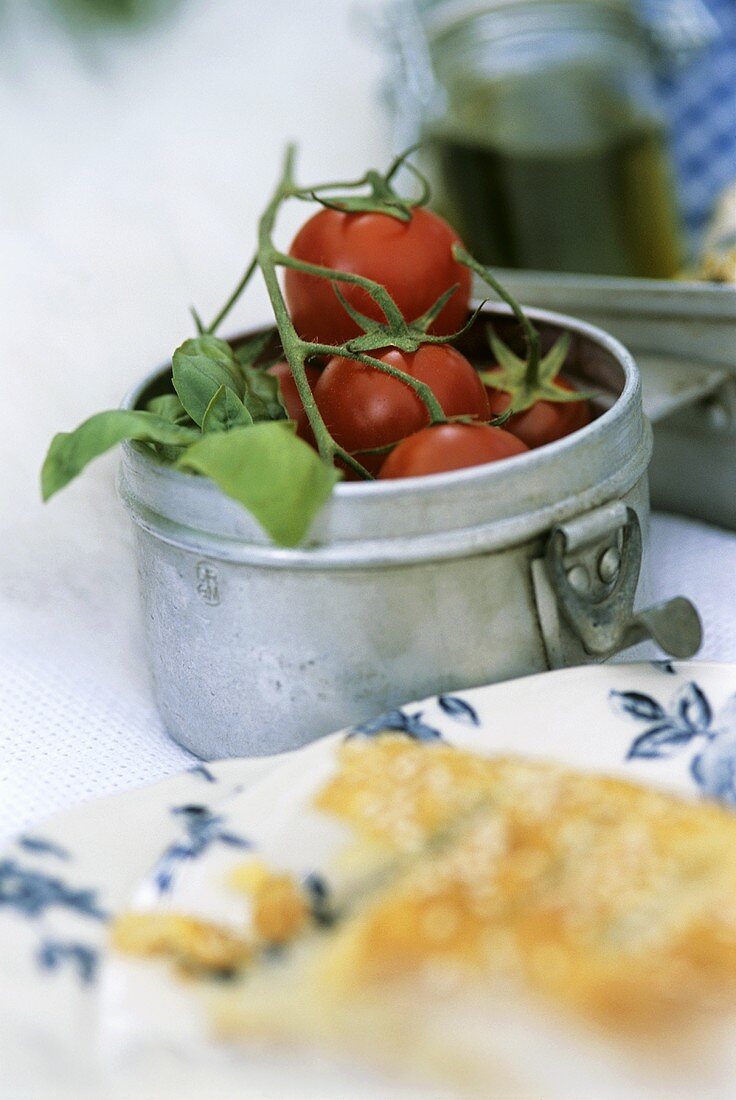 Tomatoes and basil in container