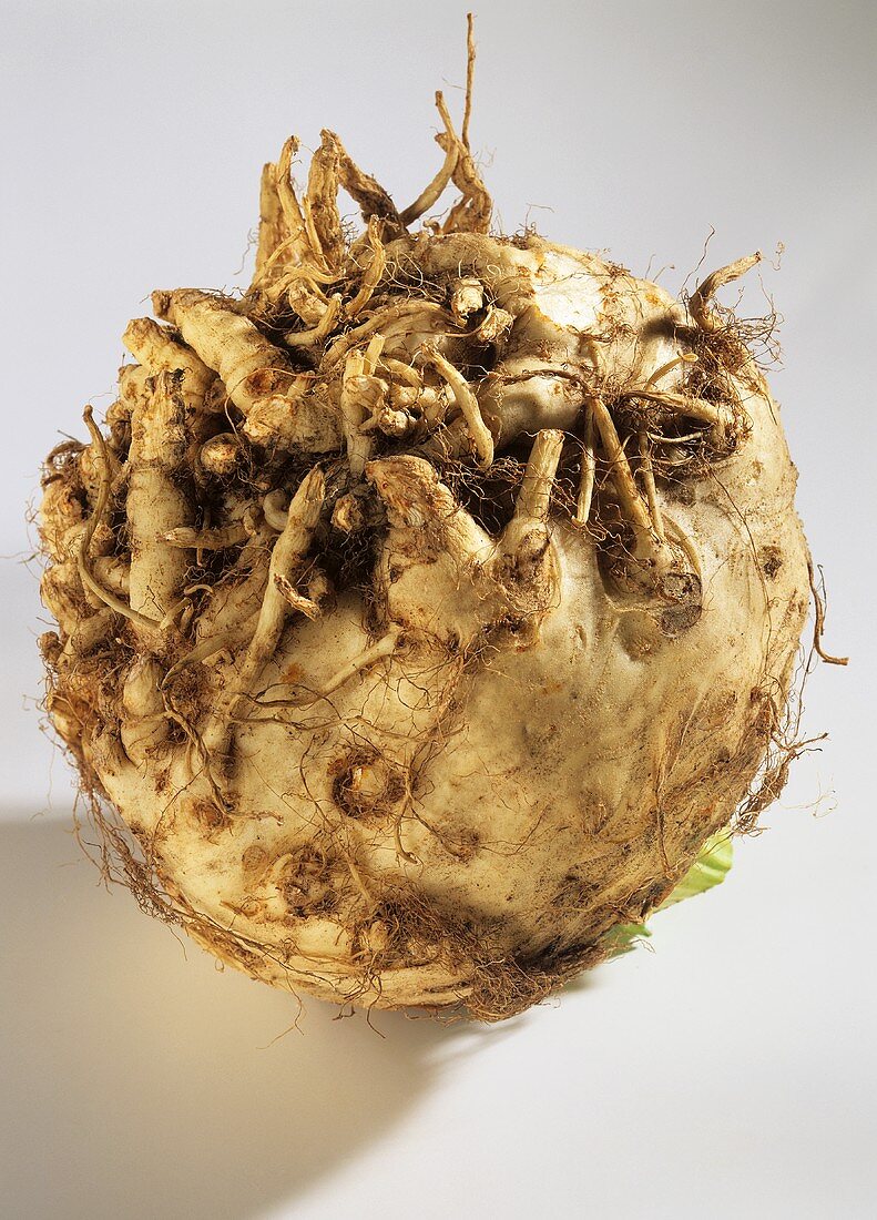 Celeriac