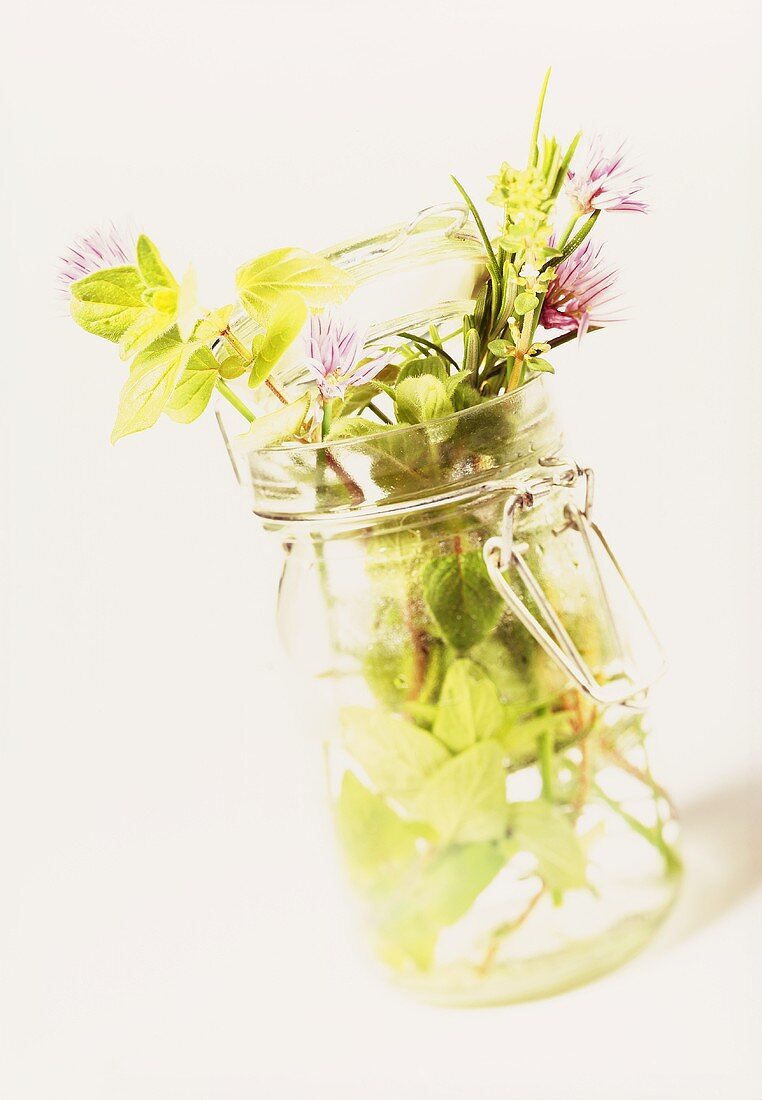 Fresh herbs in a preserving jar