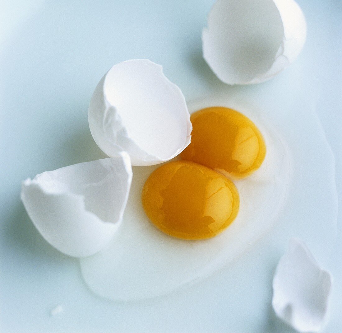 Broken eggs and eggshells