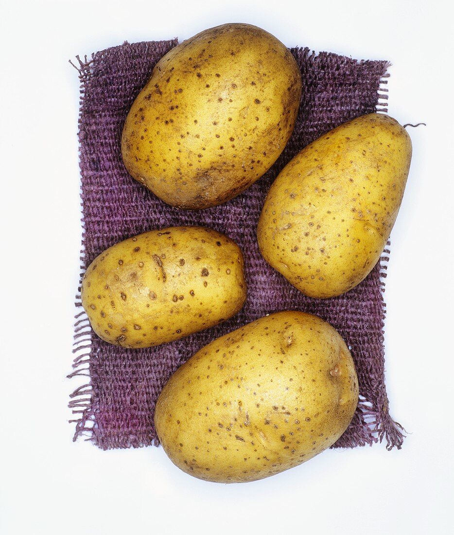 Kartoffeln der Sorte: Solara