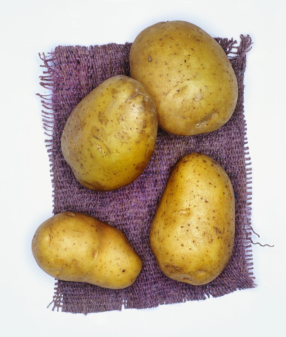 Kartoffeln der Sorte: Hela