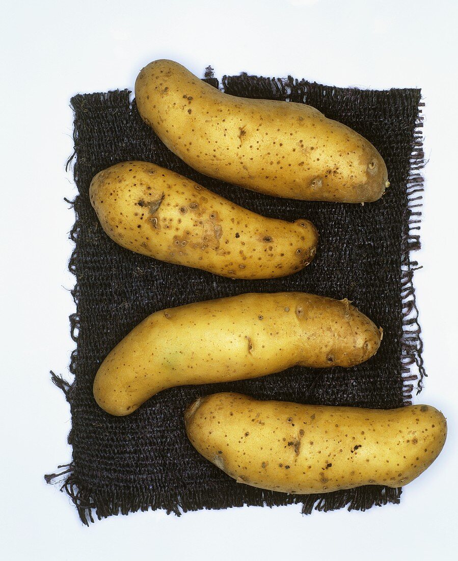Kartoffeln der Sorte: La Ratte