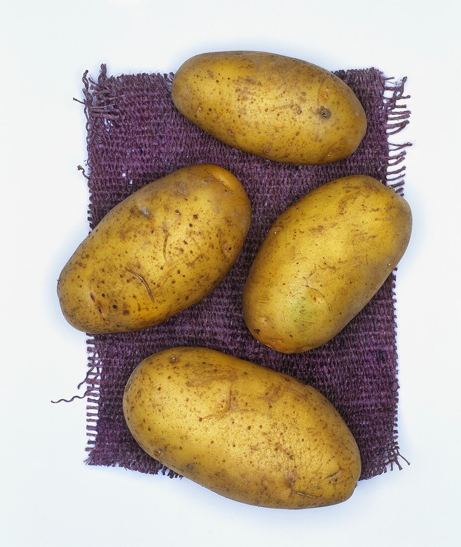 Kartoffeln der Sorte: Nicola