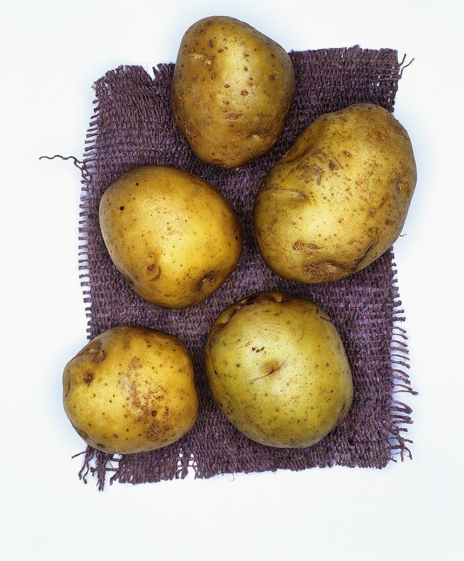 Kartoffeln der Sorte: Ackersegen
