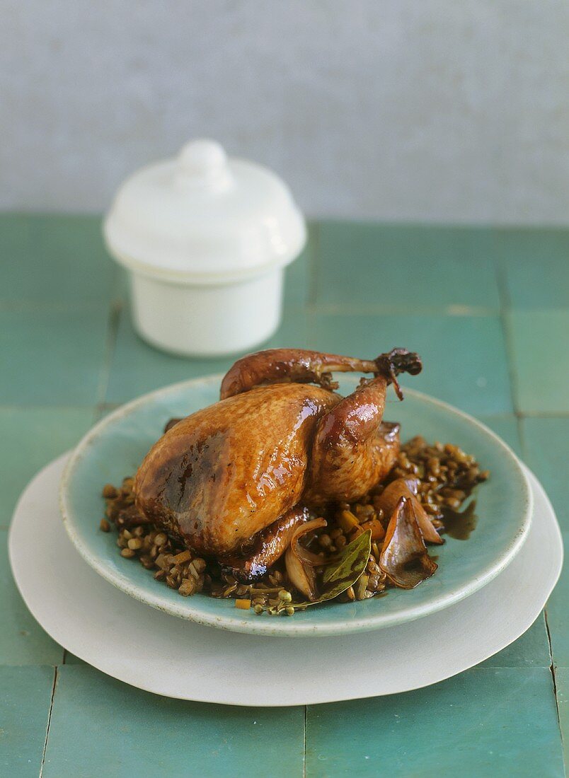 Quail on balsamic lentils