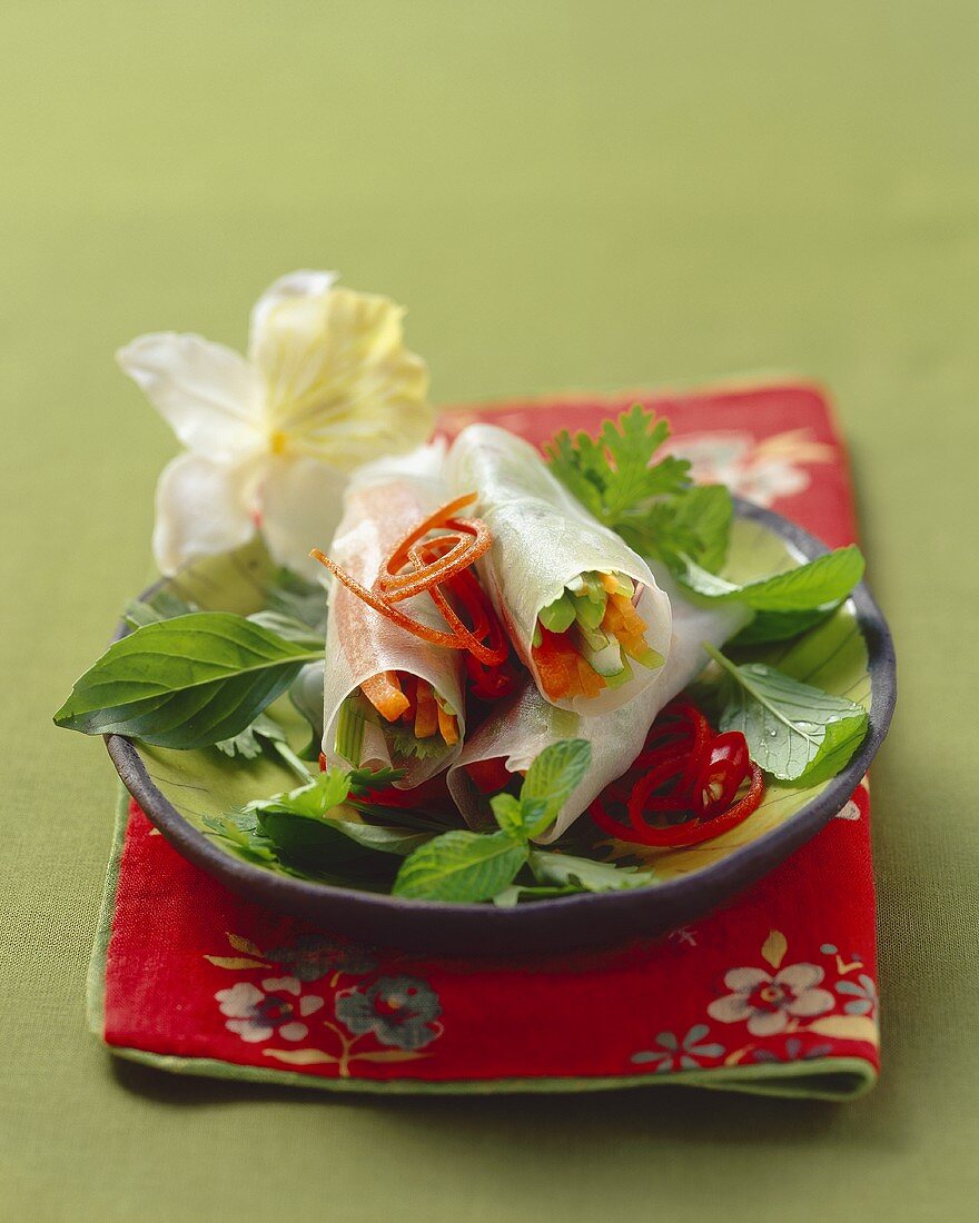 Vietnamesische Reispapierröllchen mit Gemüsefüllung