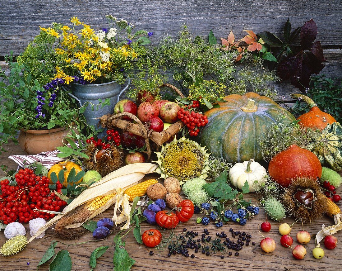 Herbststilleben mit Kräutern, Obst und Gemüse