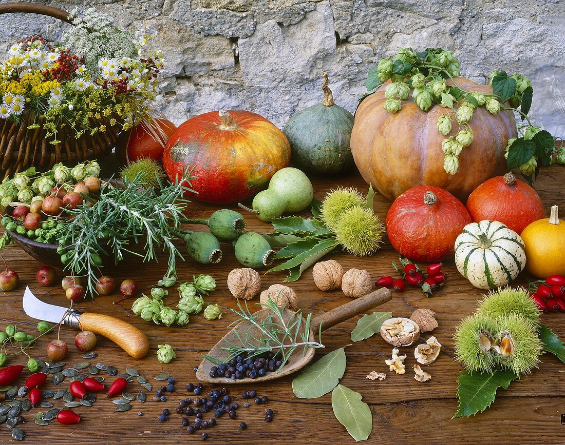 Autumnal display of pumpkins, herbs and spices