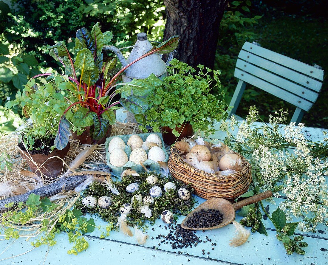 Easter display with eggs, herbs and mangold