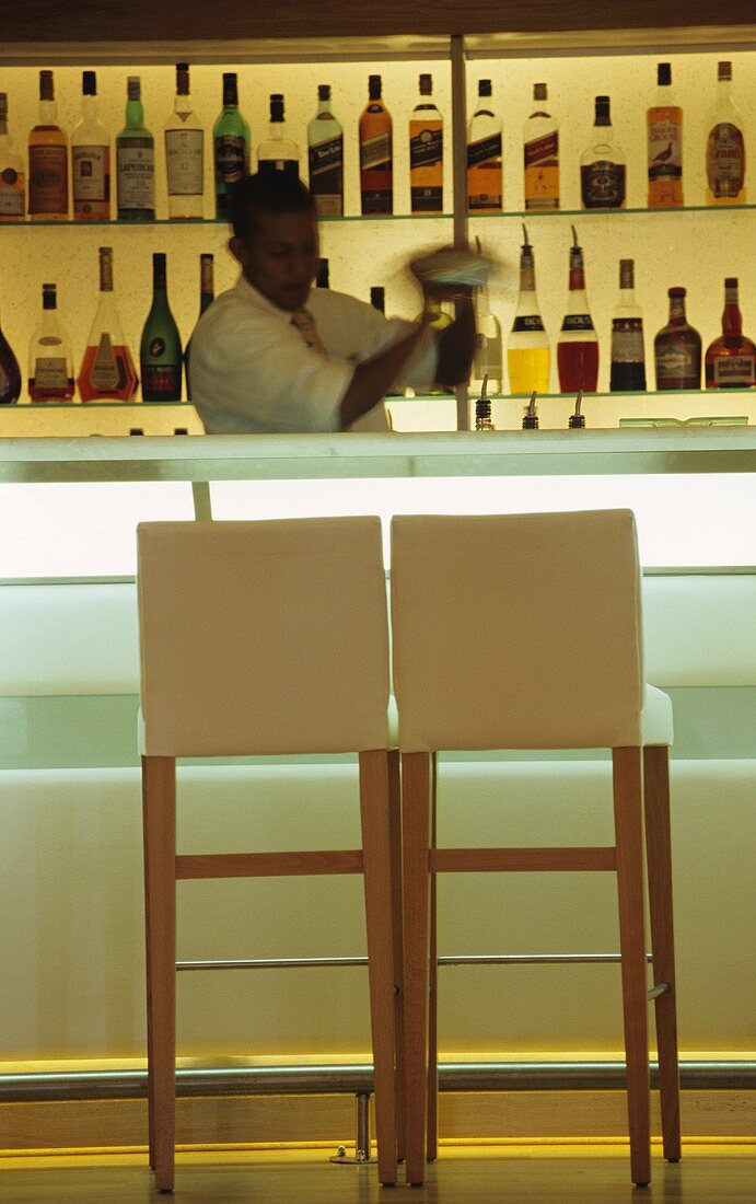 Barkeeper shaking a cocktail
