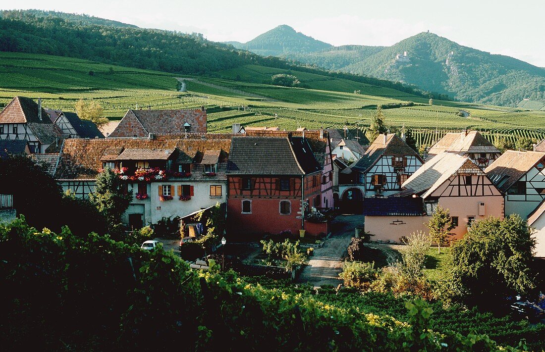 The wine-growing village of Hunawihr on the wine route near Ribeauville