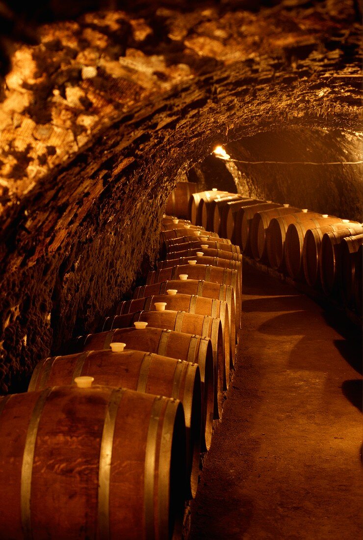 Maturation cellar in the Oremus vineyard in Tolcsva, Hungary