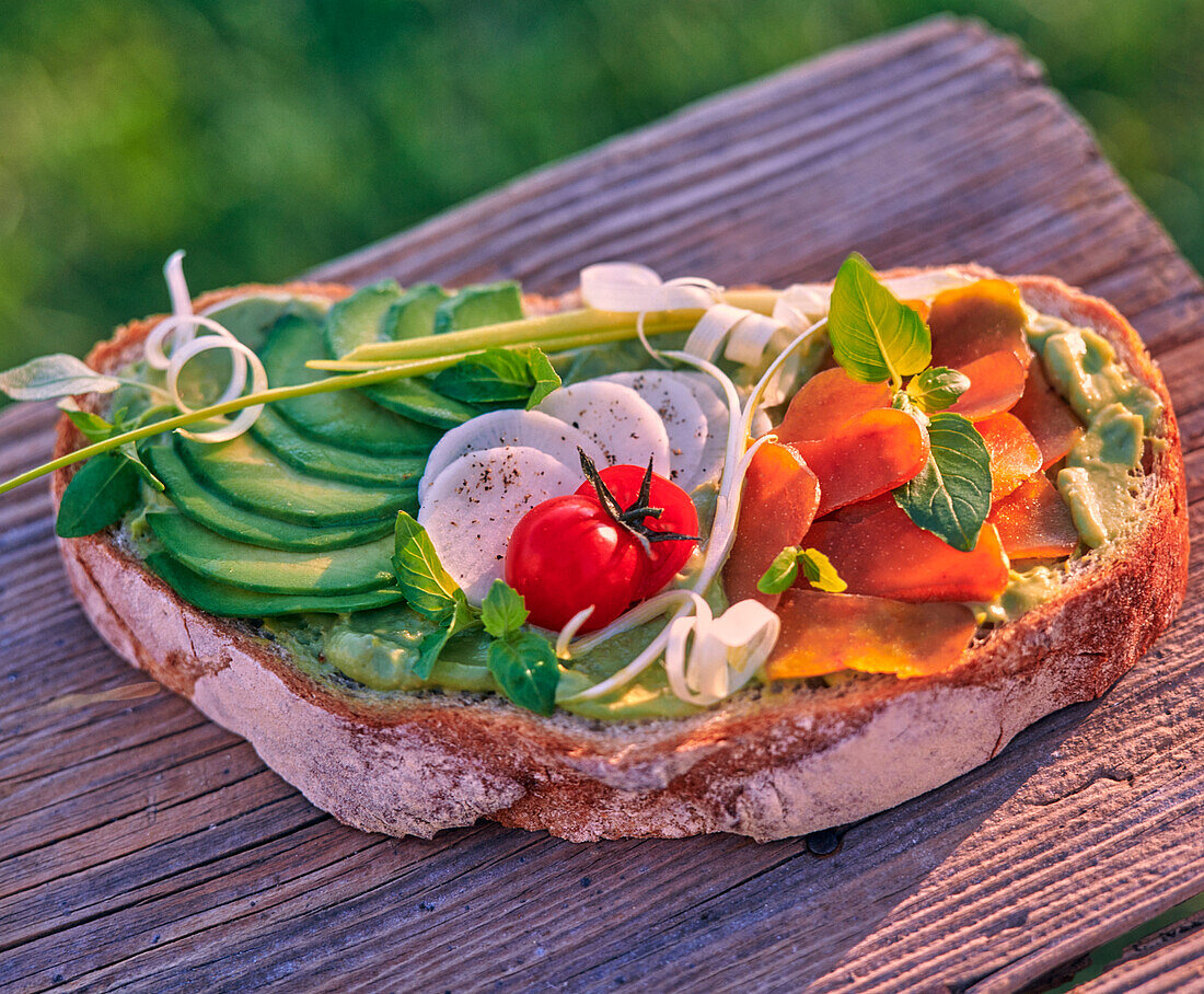 A slice of bread with avocado cream and vegetables