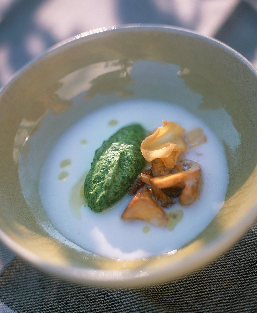 Fried chanterelle mushrooms with crisps and parsley puree on Jerusalem artichokes