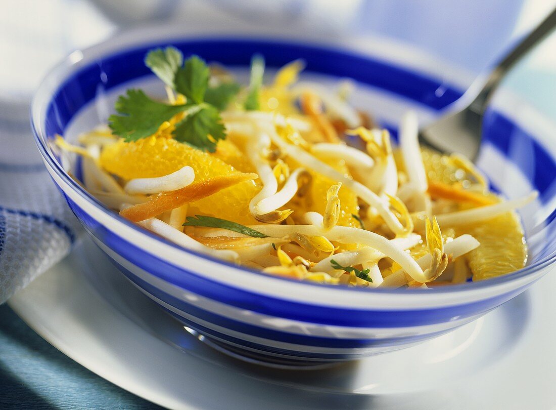 A beansprout, orange and carrot salad