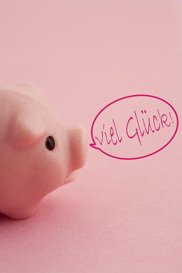 Rosa Glücksschwein mit Sprechblase "viel Glück"
