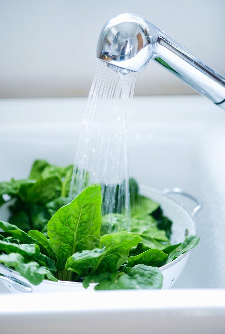 Spinach being washed