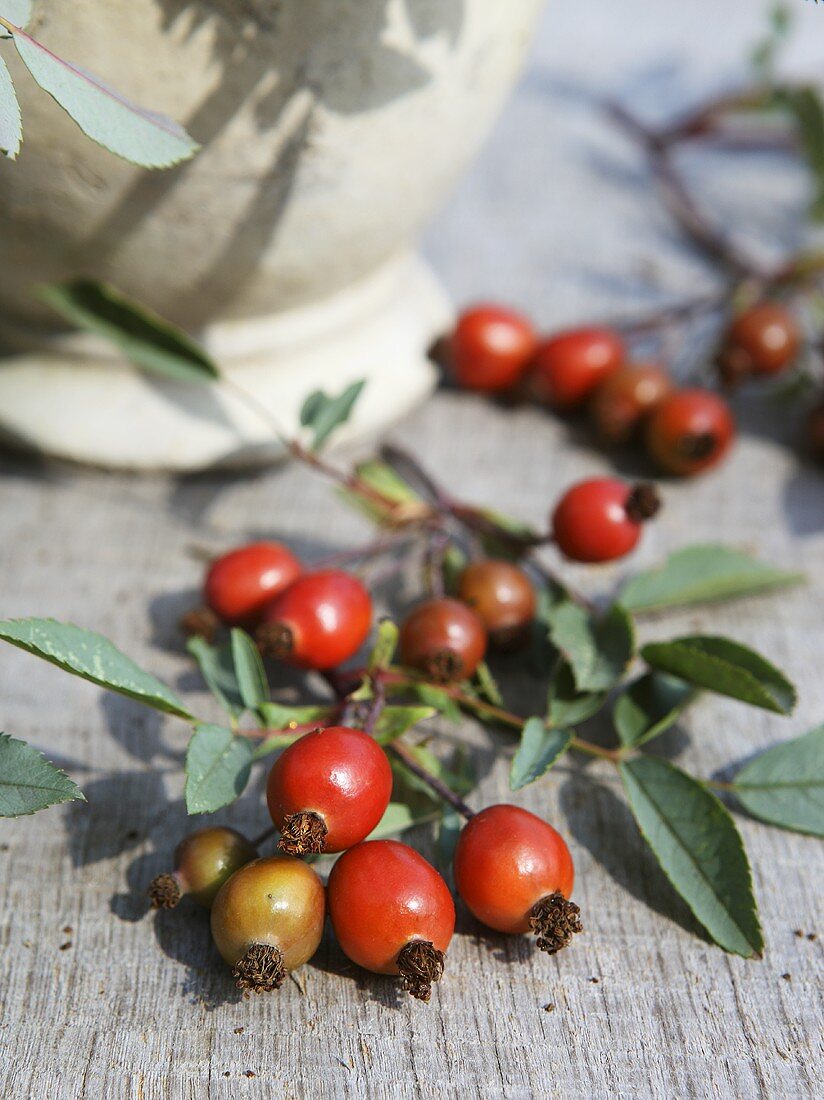Rosehips on a wooden table