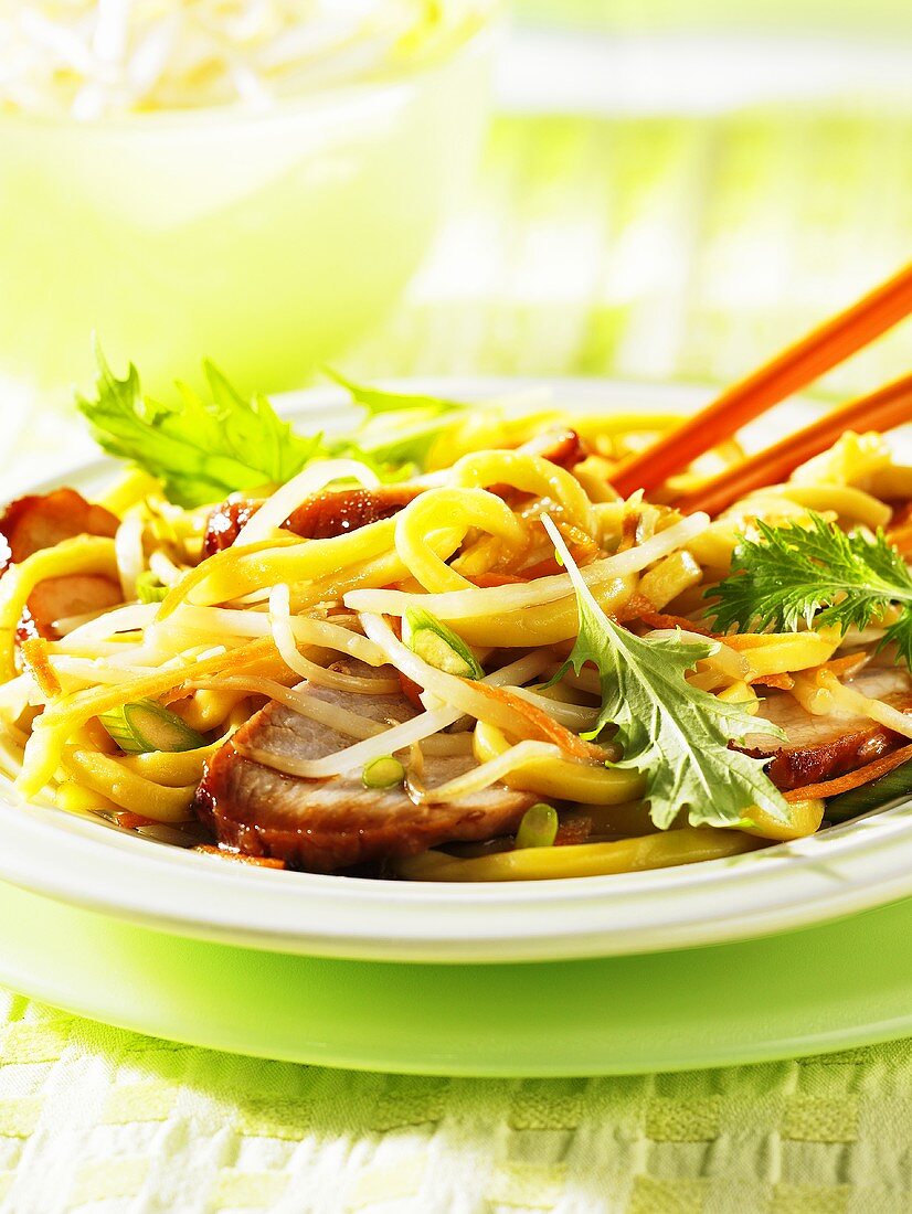 Pork with egg noodles (Asia)