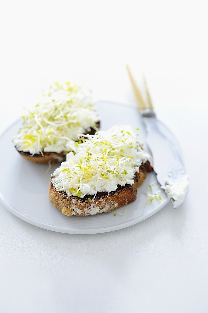 An open sandwich spread with goat's cream cheese and sprouts