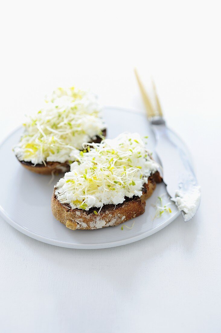 Belegtes Brot mit Ziegenfrischkäse und Sprossen